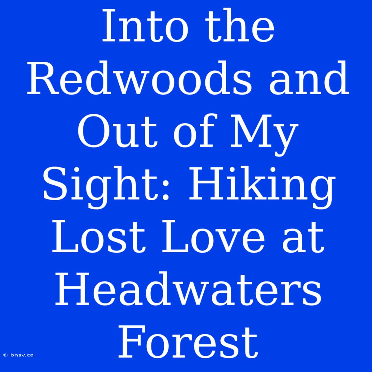 Into The Redwoods And Out Of My Sight: Hiking Lost Love At Headwaters Forest