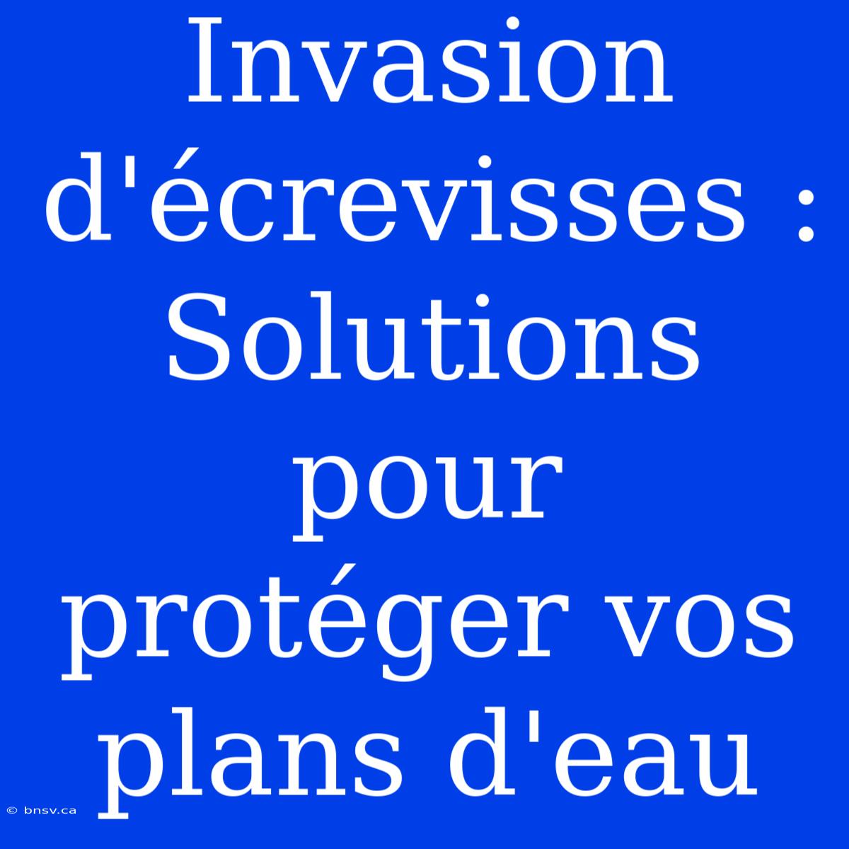 Invasion D'écrevisses : Solutions Pour Protéger Vos Plans D'eau