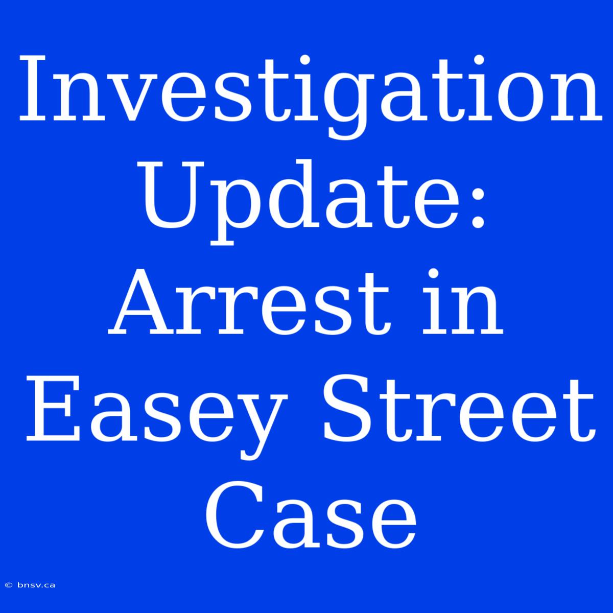 Investigation Update: Arrest In Easey Street Case