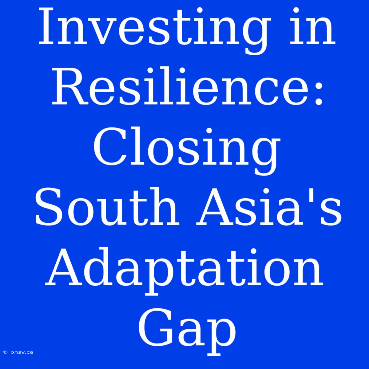 Investing In Resilience: Closing South Asia's Adaptation Gap