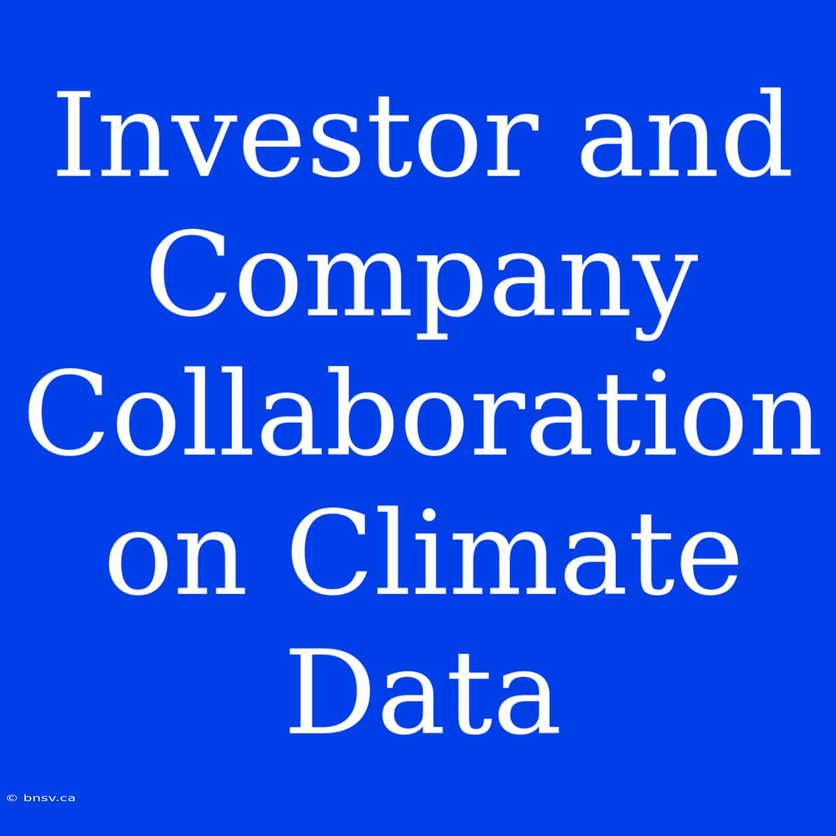 Investor And Company Collaboration On Climate Data