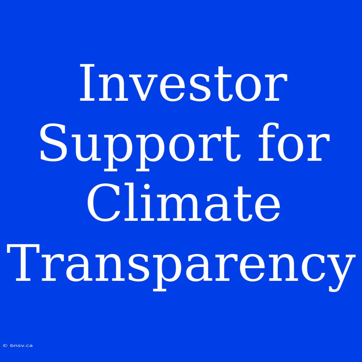 Investor Support For Climate Transparency