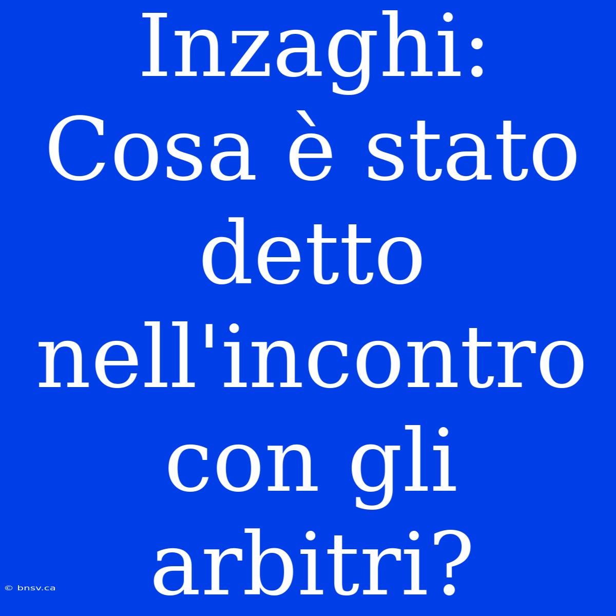 Inzaghi: Cosa È Stato Detto Nell'incontro Con Gli Arbitri?