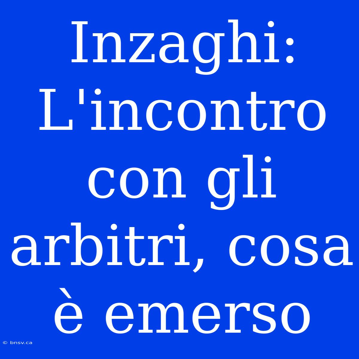 Inzaghi: L'incontro Con Gli Arbitri, Cosa È Emerso