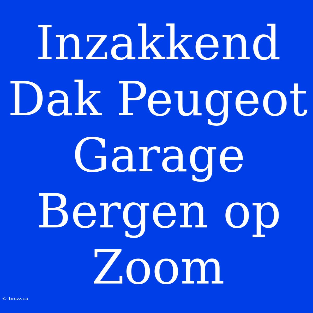 Inzakkend Dak Peugeot Garage Bergen Op Zoom