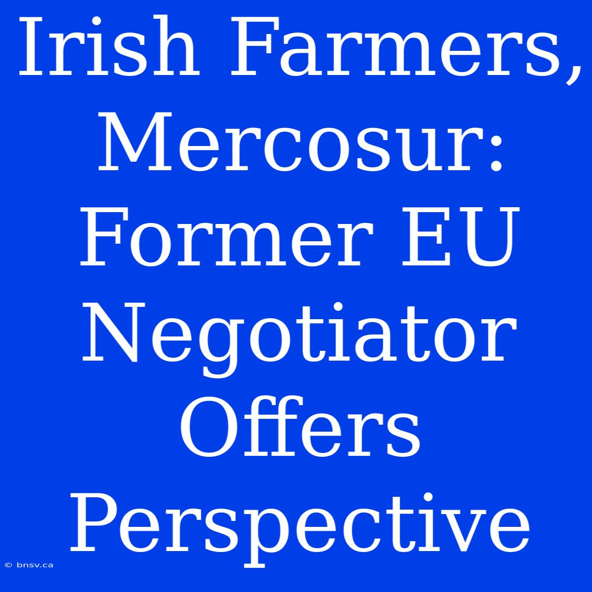 Irish Farmers, Mercosur: Former EU Negotiator Offers Perspective