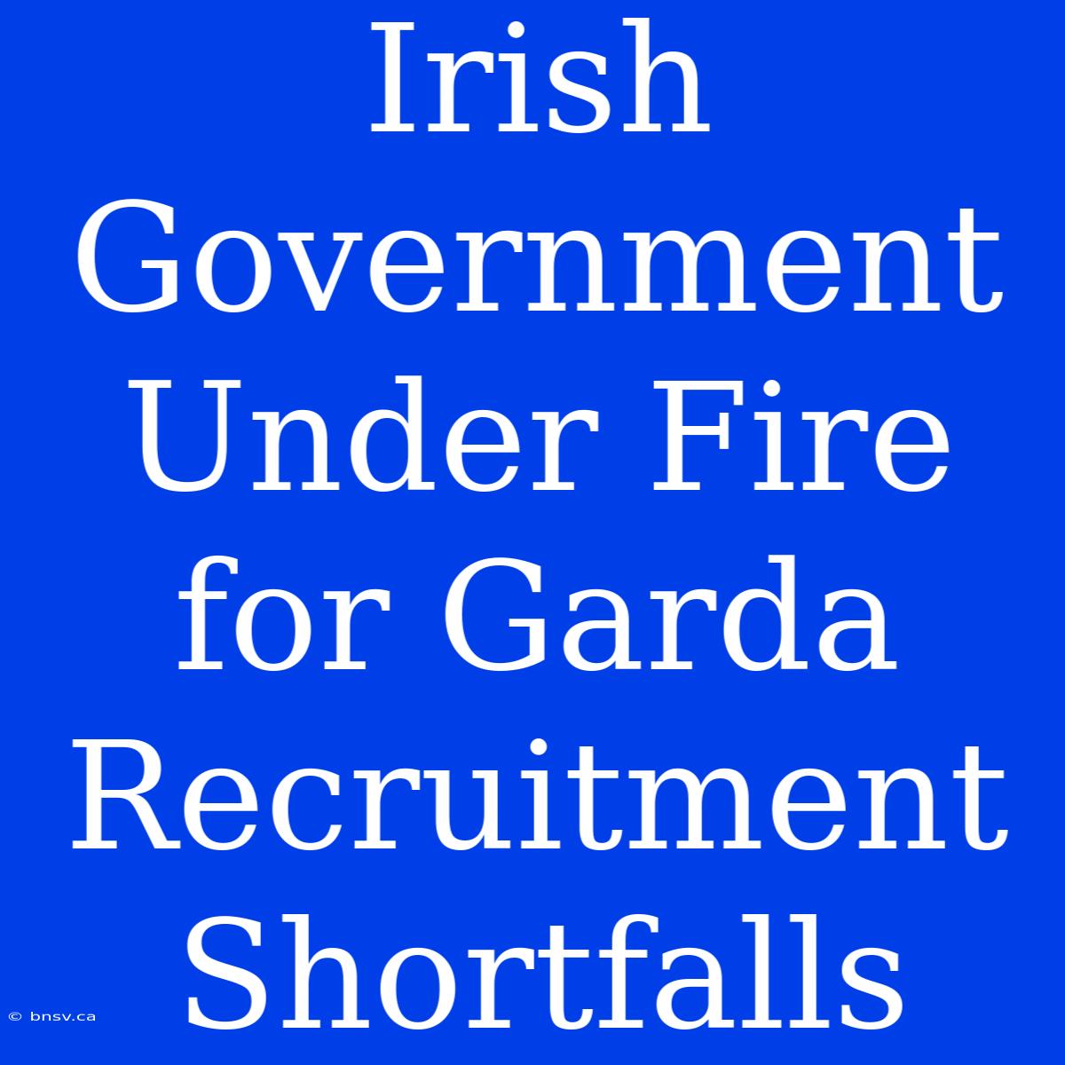 Irish Government Under Fire For Garda Recruitment Shortfalls