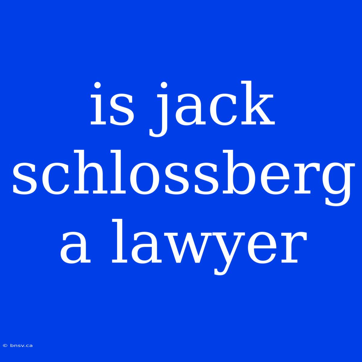 Is Jack Schlossberg A Lawyer