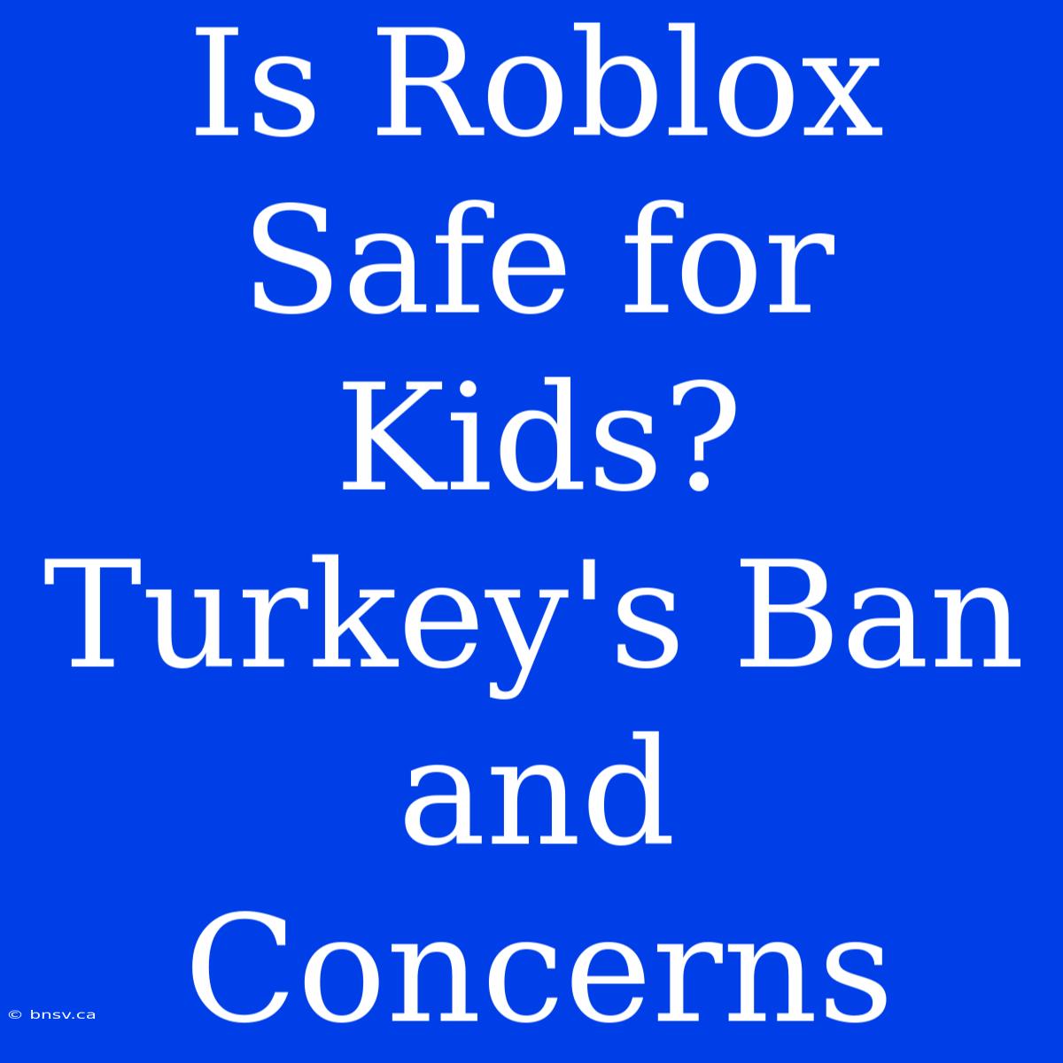 Is Roblox Safe For Kids? Turkey's Ban And Concerns