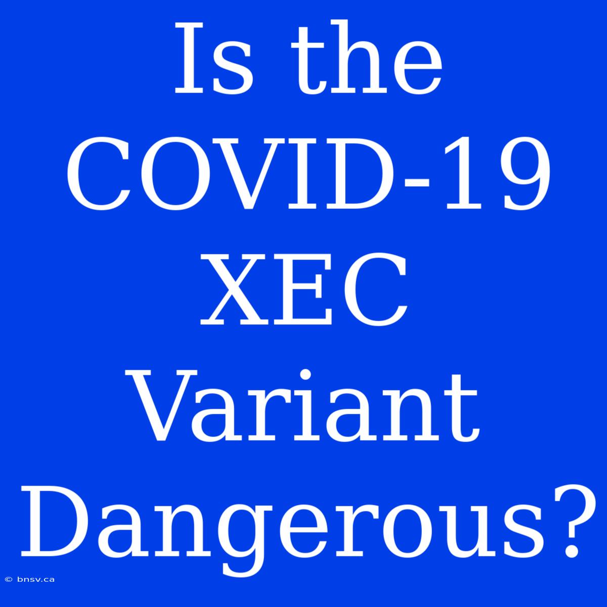 Is The COVID-19 XEC Variant Dangerous?