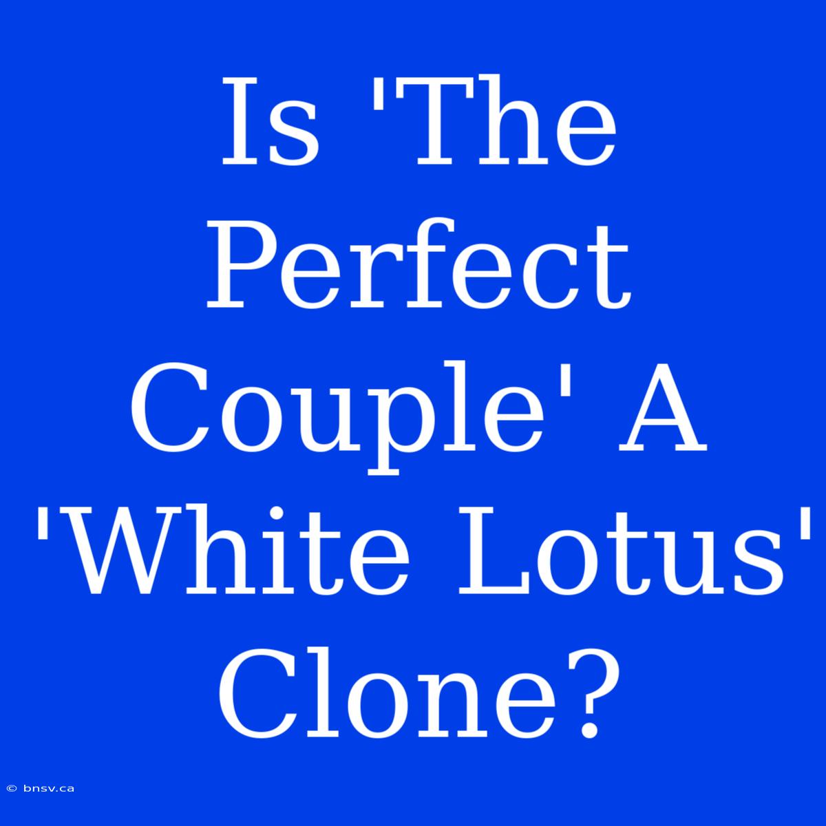 Is 'The Perfect Couple' A 'White Lotus' Clone?