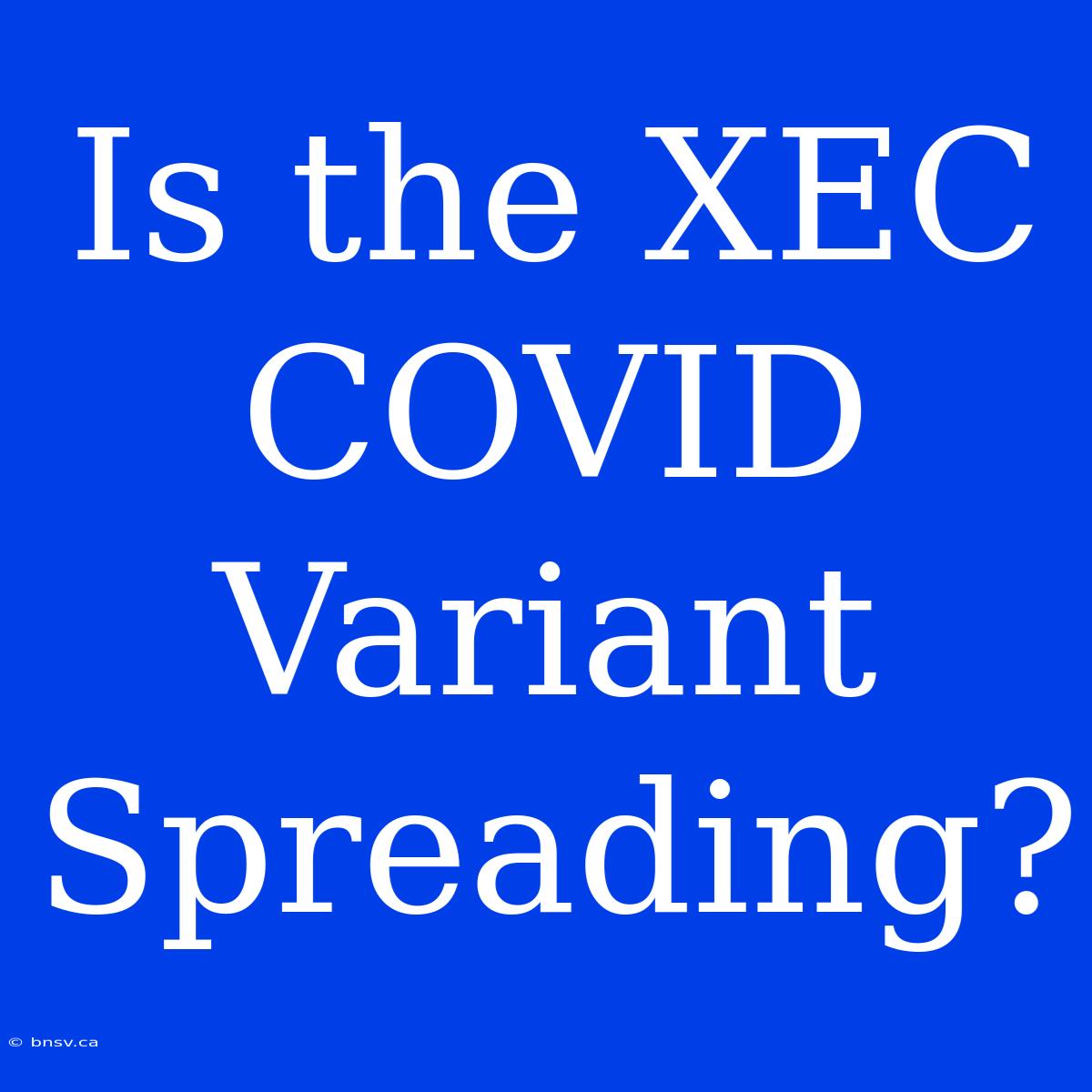 Is The XEC COVID Variant Spreading?