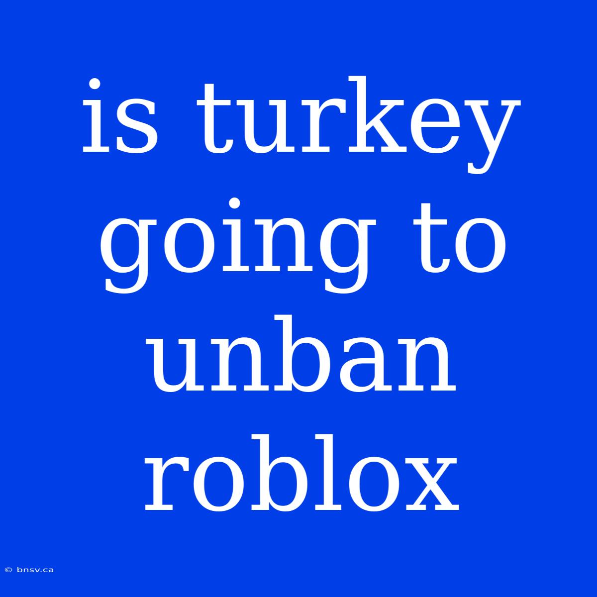 Is Turkey Going To Unban Roblox