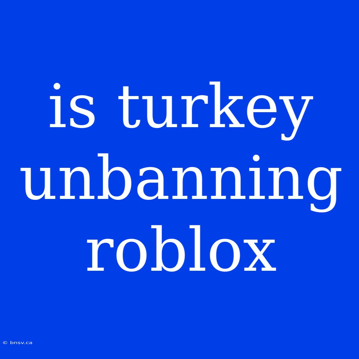 Is Turkey Unbanning Roblox