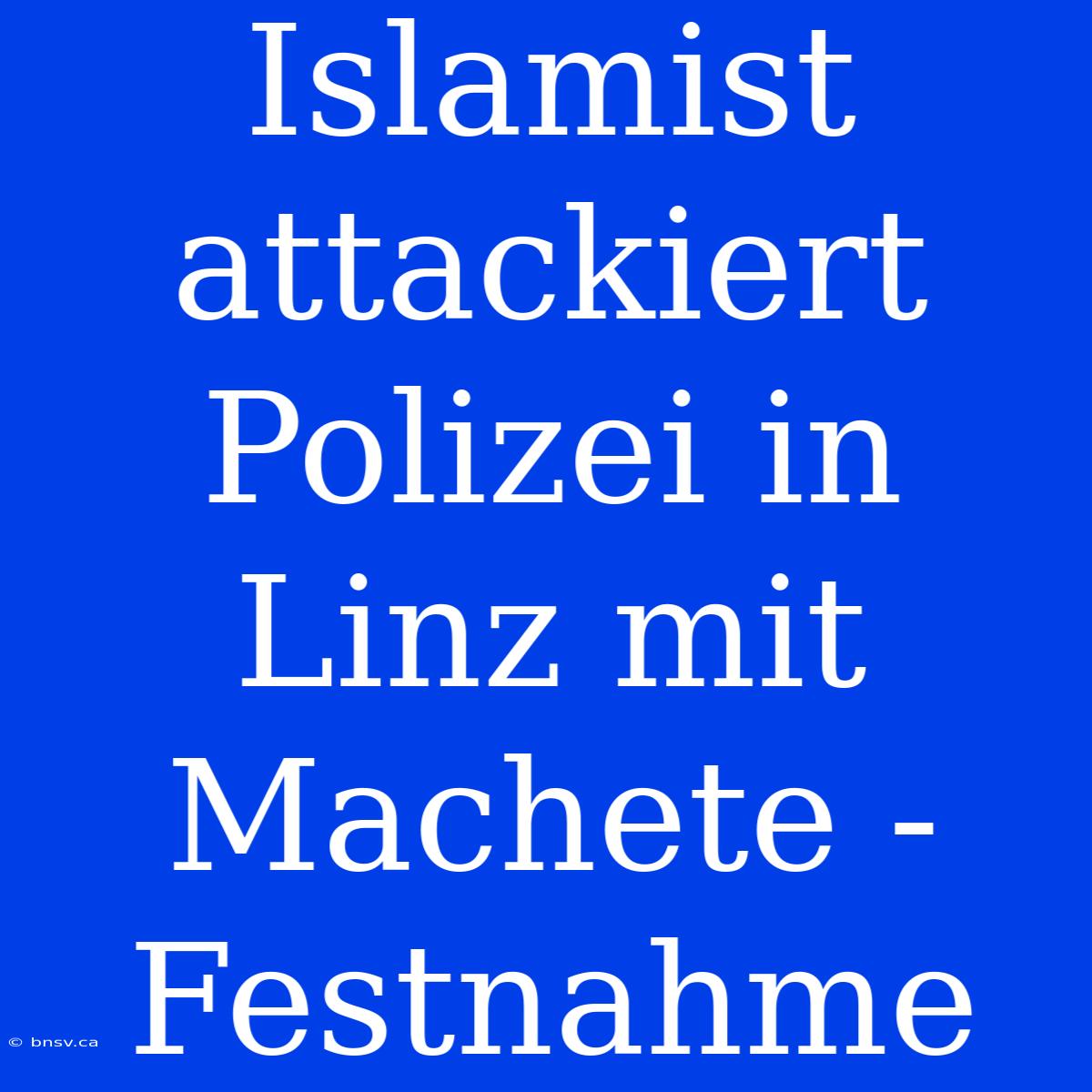 Islamist Attackiert Polizei In Linz Mit Machete - Festnahme