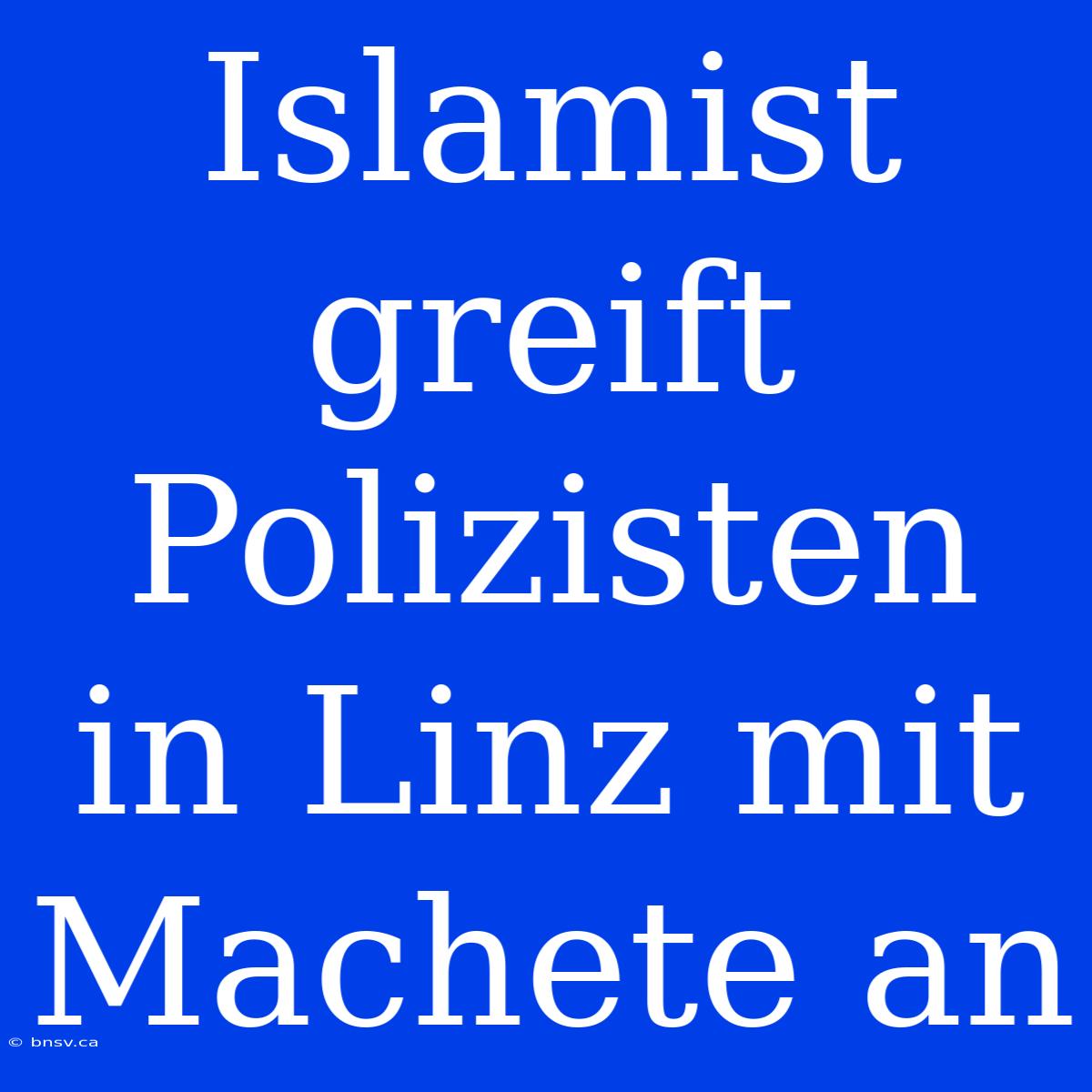 Islamist Greift Polizisten In Linz Mit Machete An