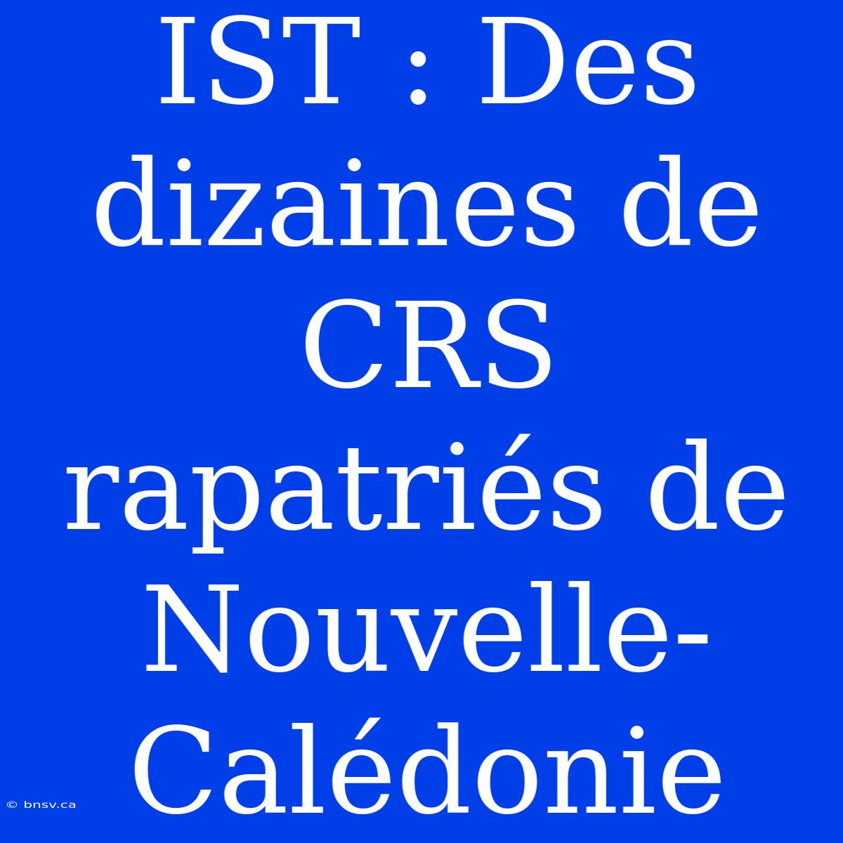 IST : Des Dizaines De CRS Rapatriés De Nouvelle-Calédonie