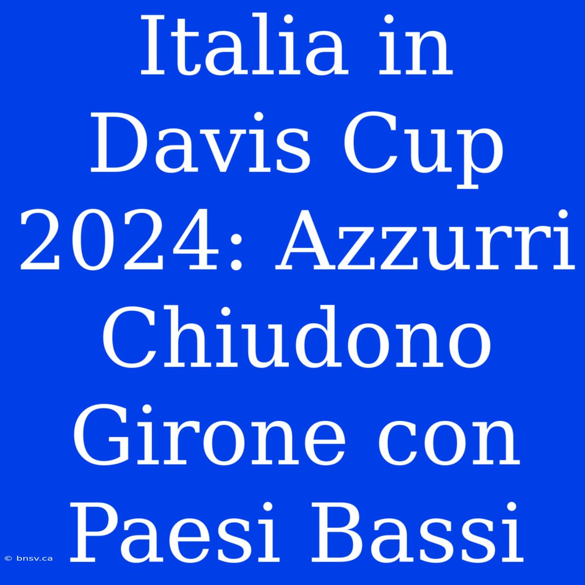 Italia In Davis Cup 2024: Azzurri Chiudono Girone Con Paesi Bassi