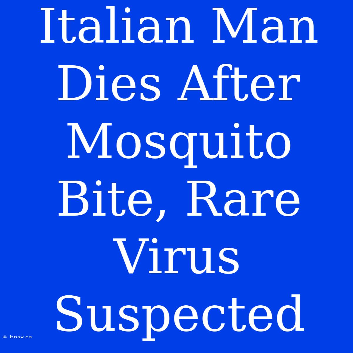 Italian Man Dies After Mosquito Bite, Rare Virus Suspected