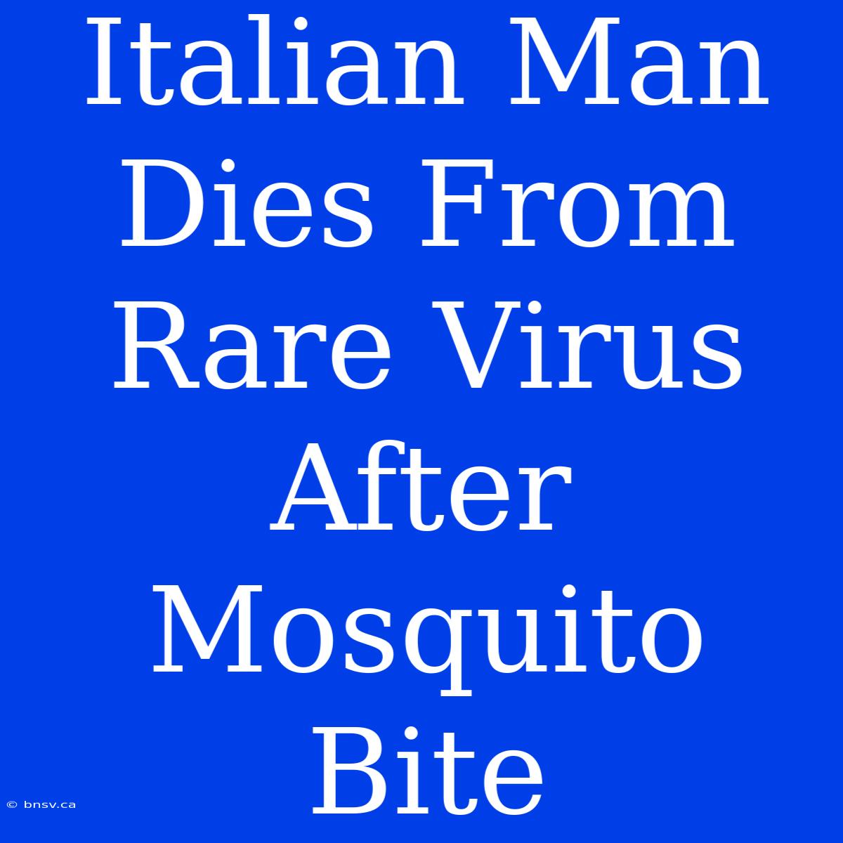 Italian Man Dies From Rare Virus After Mosquito Bite