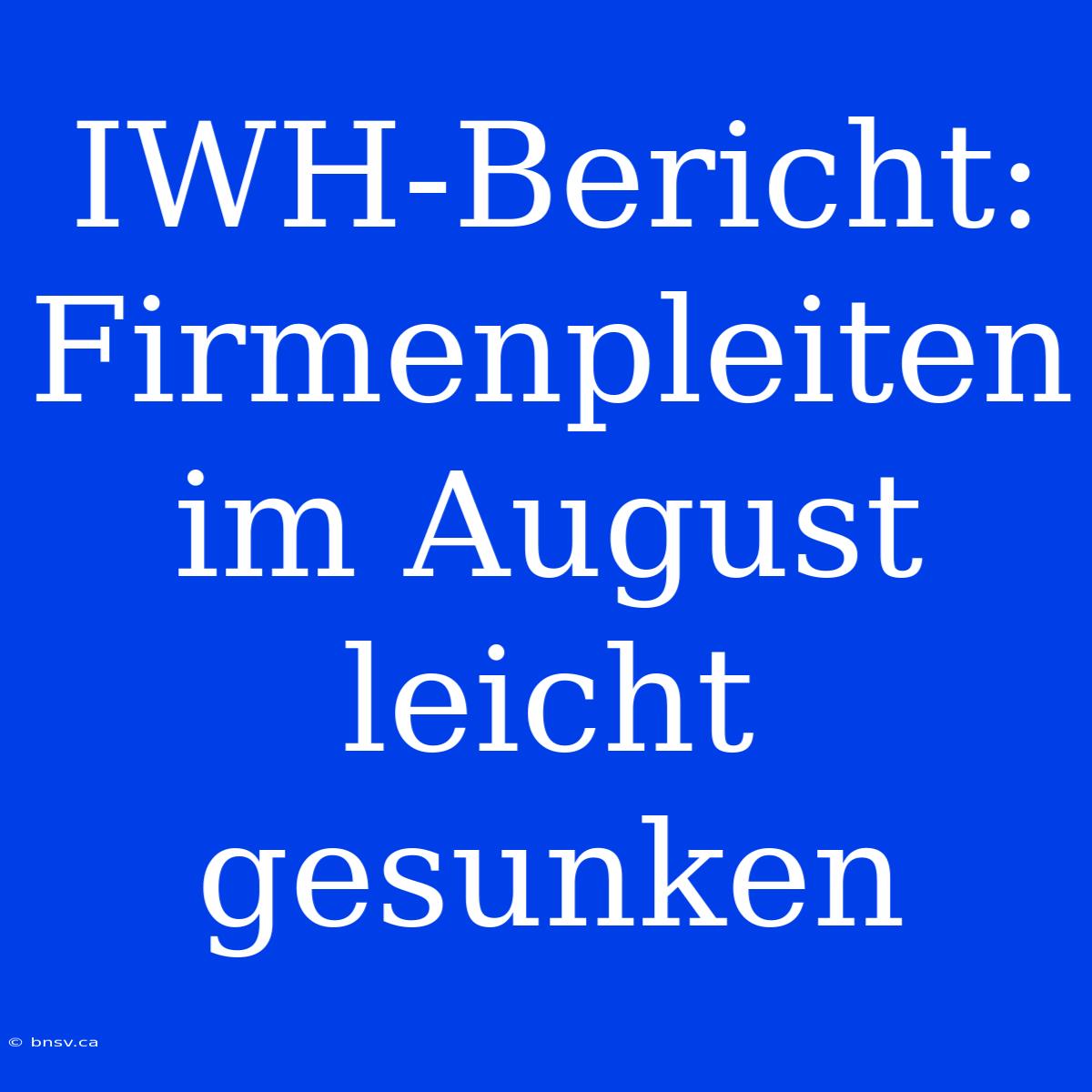 IWH-Bericht: Firmenpleiten Im August Leicht Gesunken