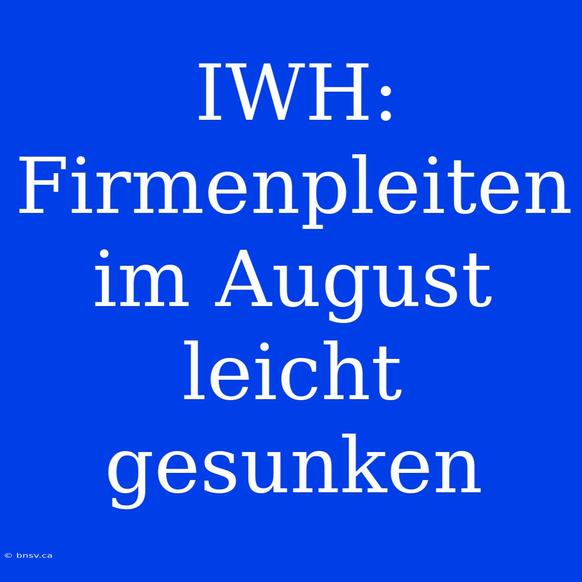 IWH: Firmenpleiten Im August Leicht Gesunken