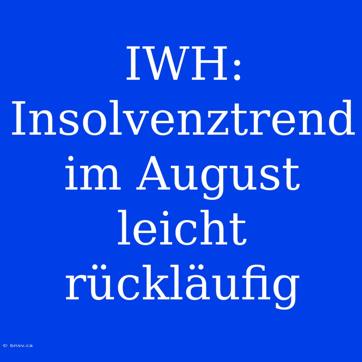 IWH: Insolvenztrend Im August Leicht Rückläufig