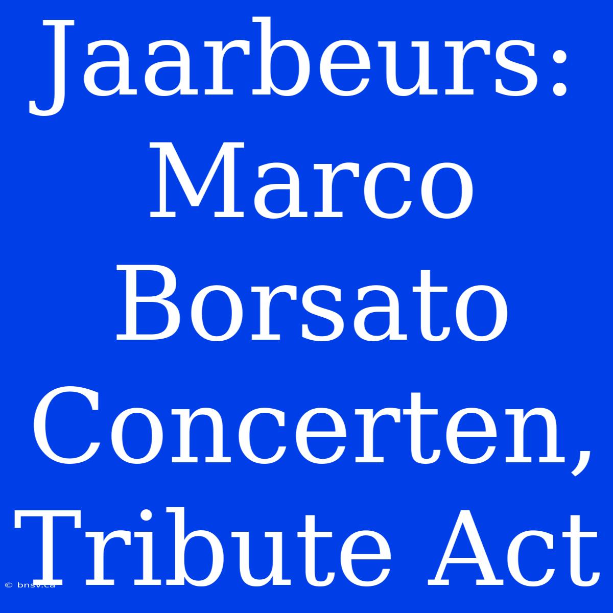 Jaarbeurs: Marco Borsato Concerten, Tribute Act