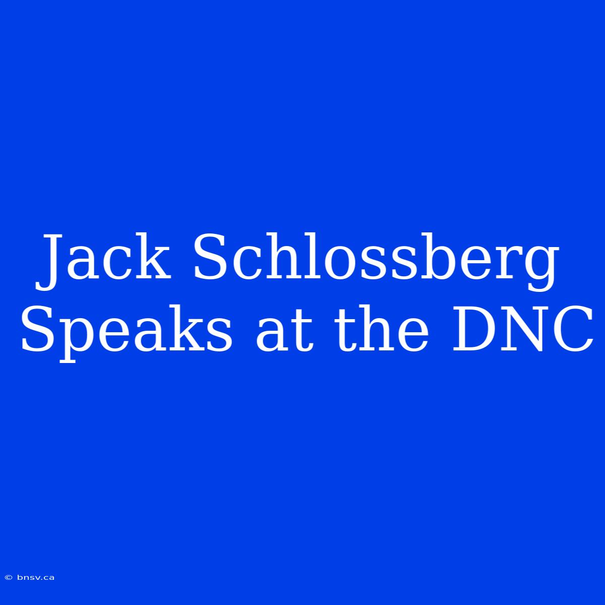 Jack Schlossberg Speaks At The DNC