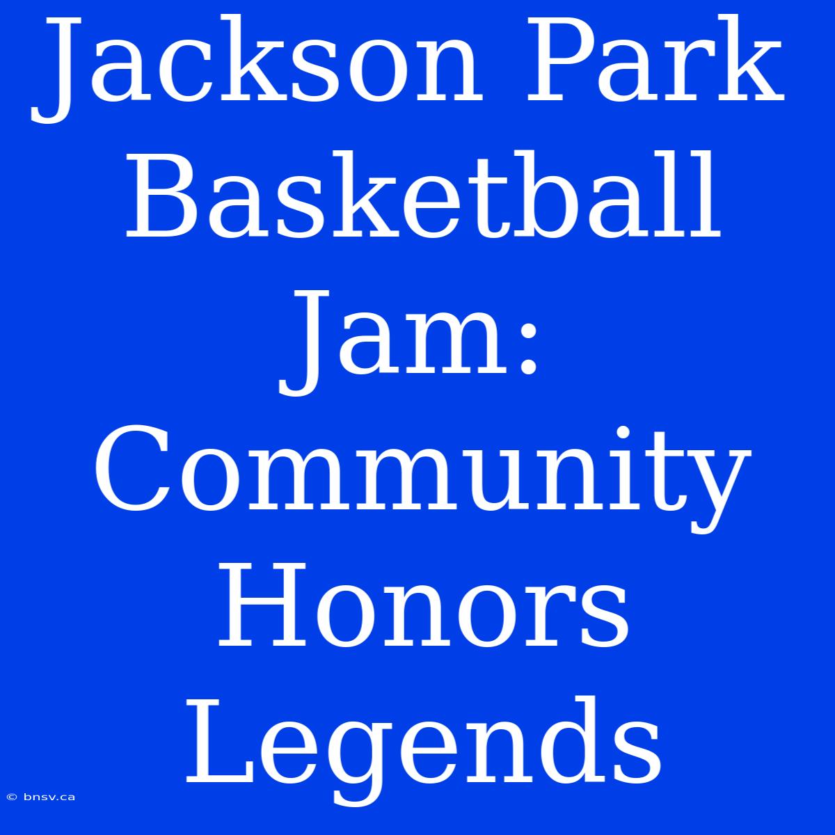 Jackson Park Basketball Jam: Community Honors Legends