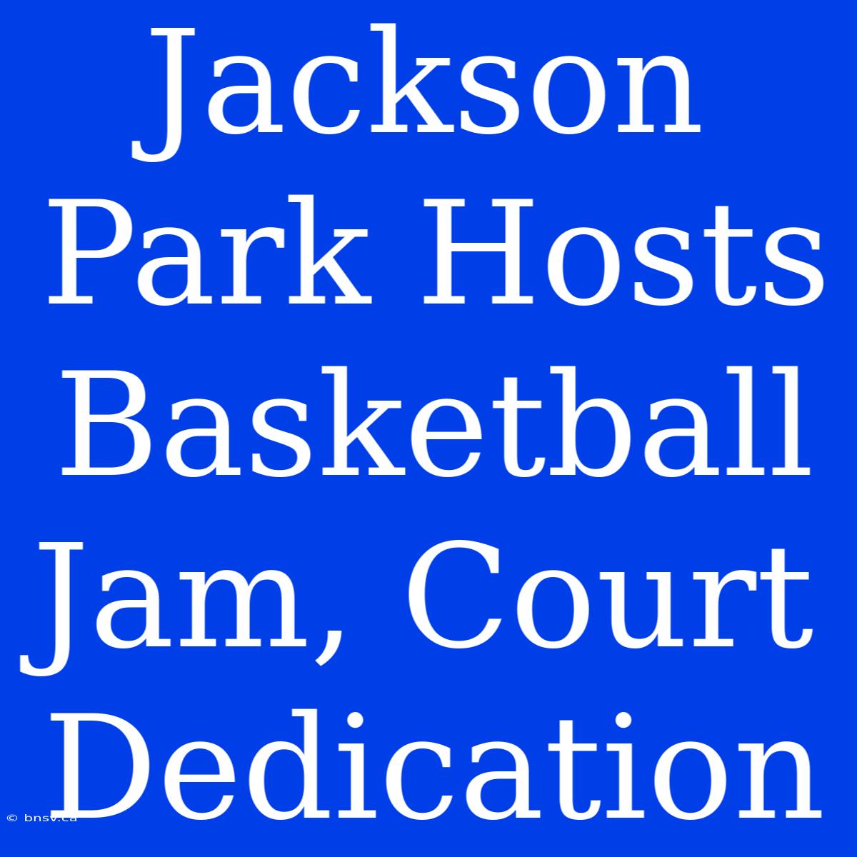 Jackson Park Hosts Basketball Jam, Court Dedication