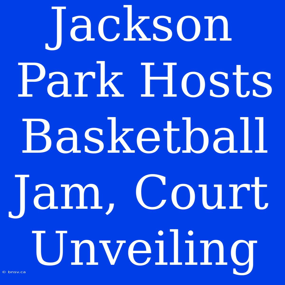 Jackson Park Hosts Basketball Jam, Court Unveiling