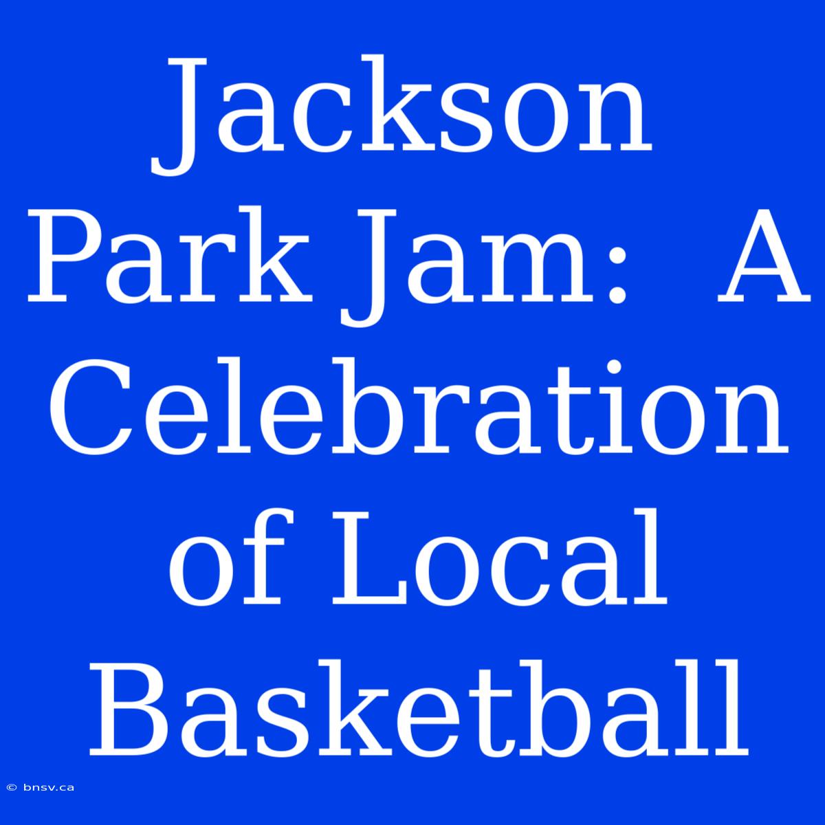 Jackson Park Jam:  A Celebration Of Local Basketball