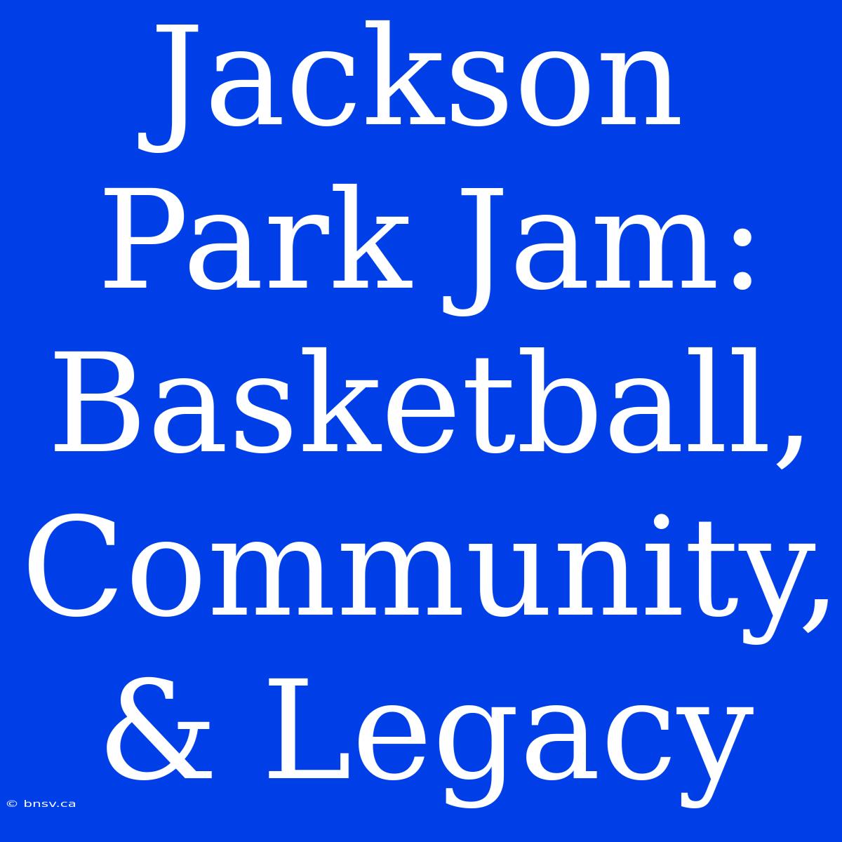 Jackson Park Jam:  Basketball, Community, & Legacy