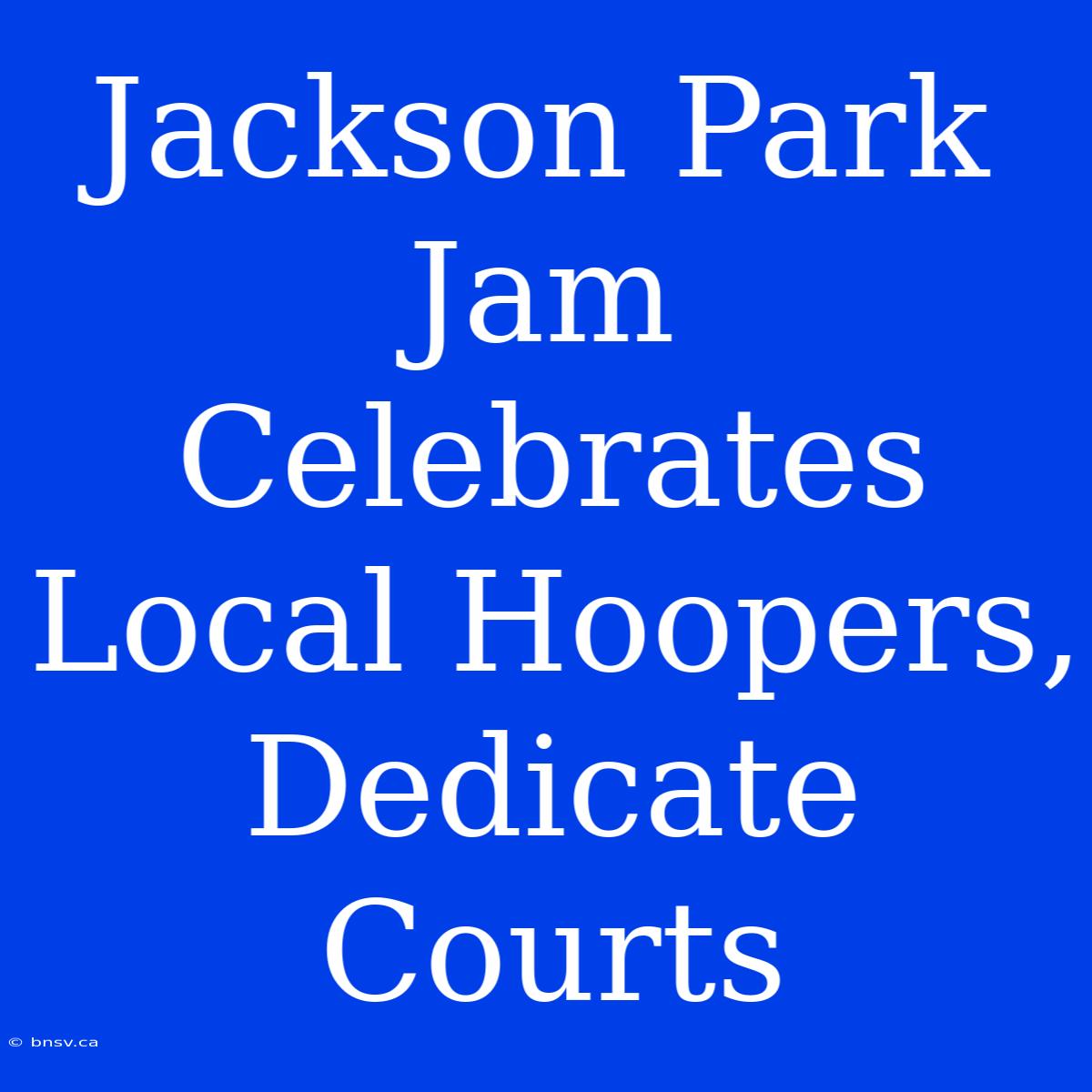 Jackson Park Jam Celebrates Local Hoopers, Dedicate Courts