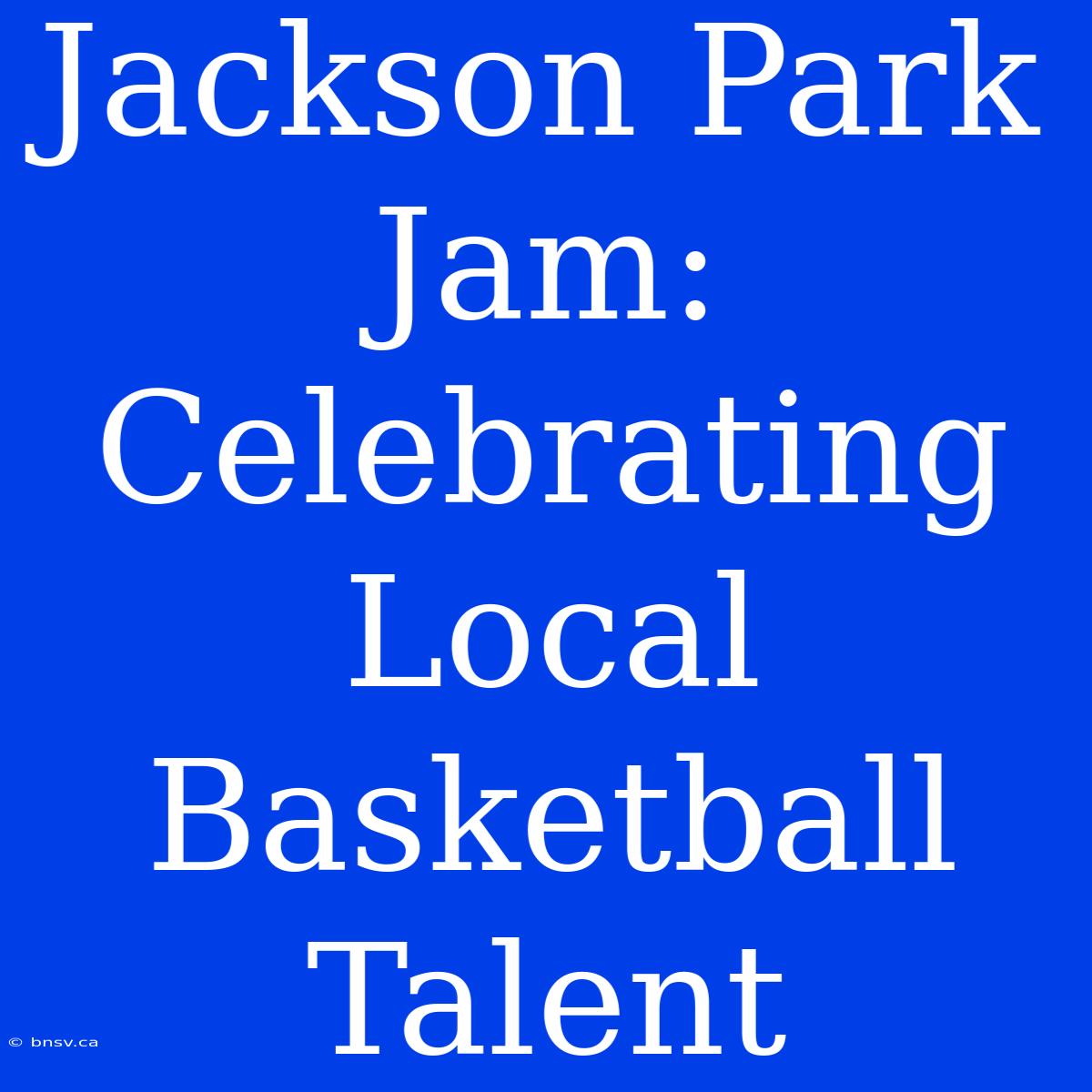 Jackson Park Jam: Celebrating Local Basketball Talent