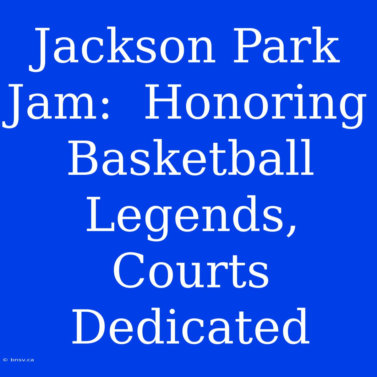 Jackson Park Jam:  Honoring Basketball Legends, Courts Dedicated