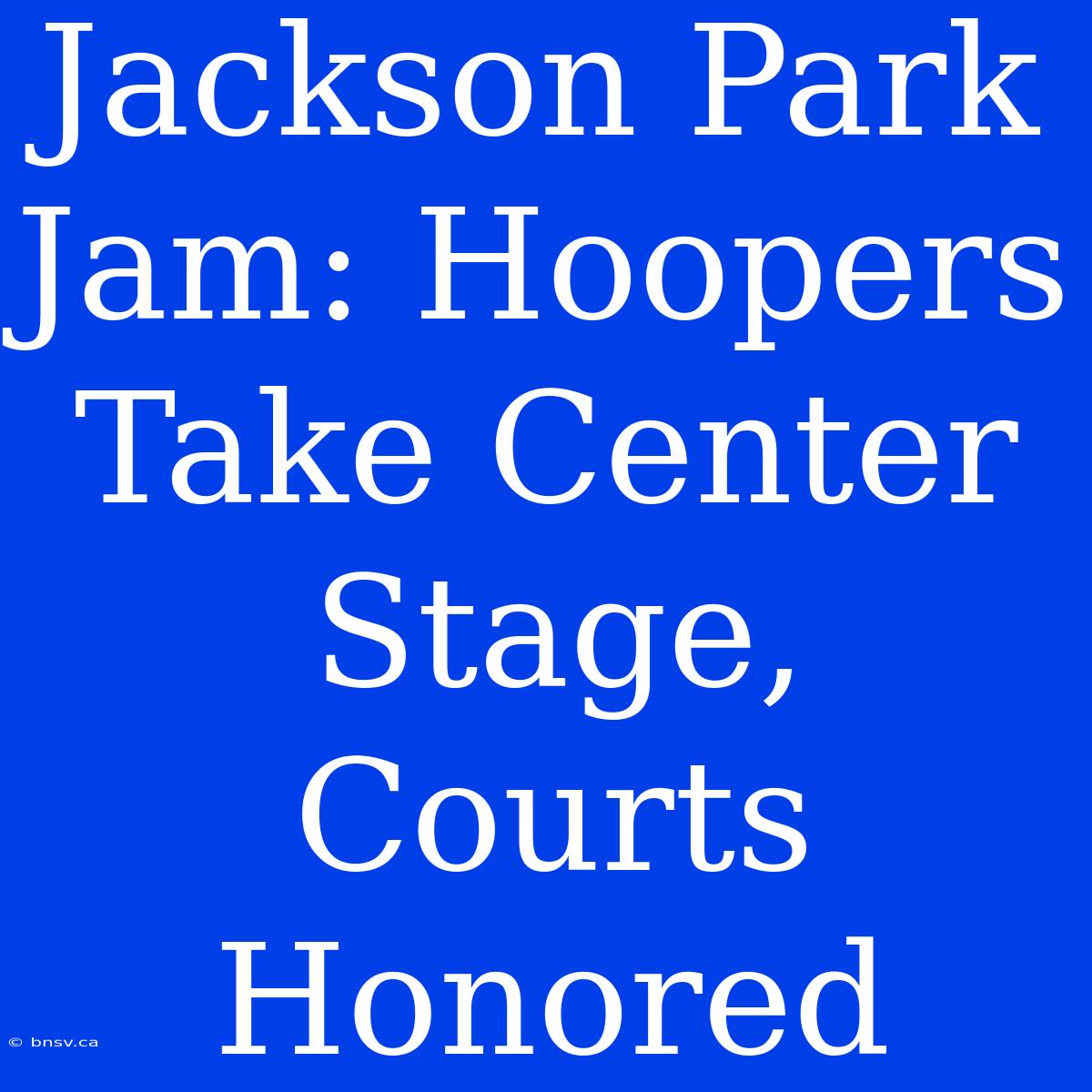 Jackson Park Jam: Hoopers Take Center Stage, Courts Honored