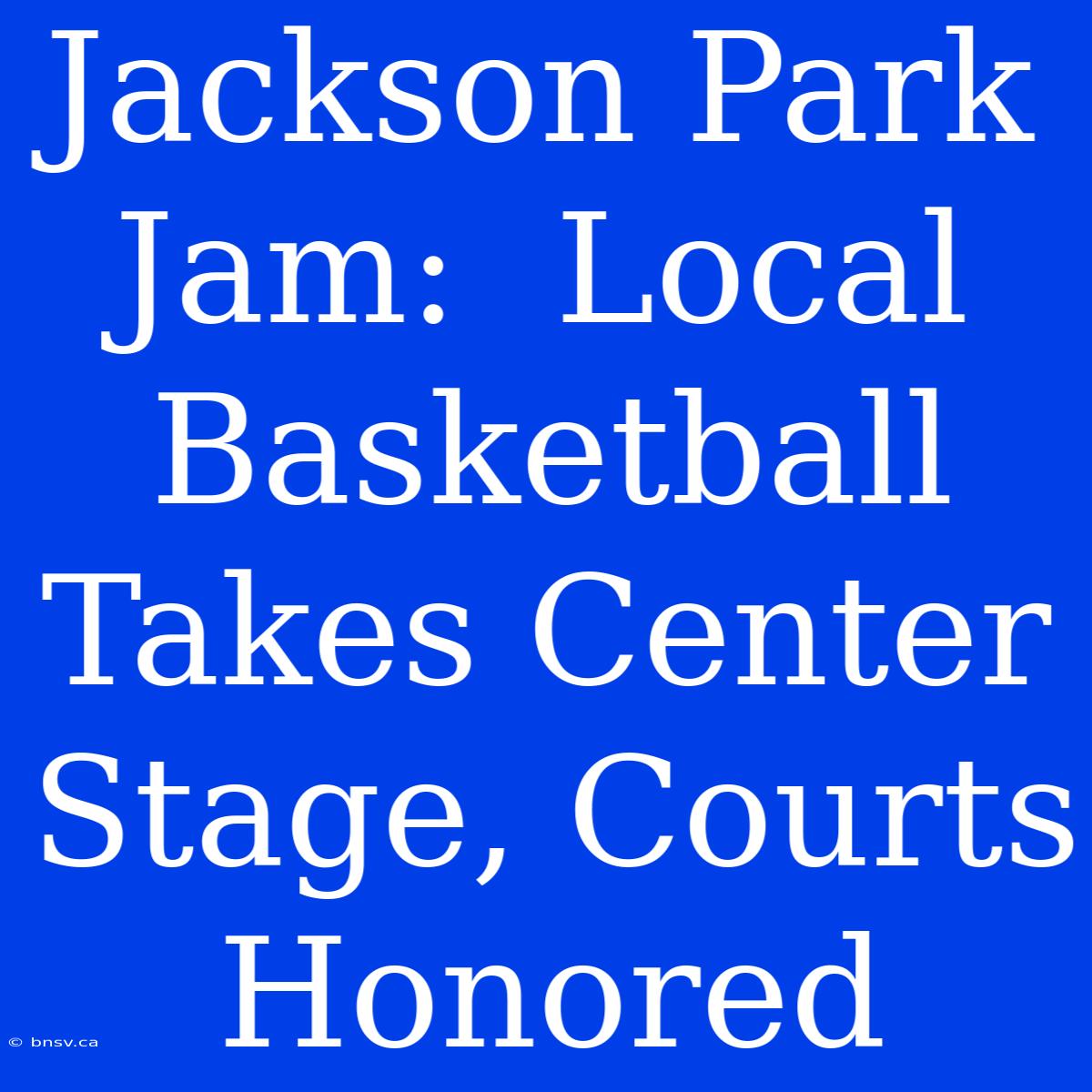 Jackson Park Jam:  Local Basketball Takes Center Stage, Courts Honored