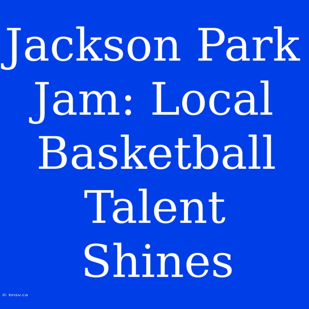 Jackson Park Jam: Local Basketball Talent Shines