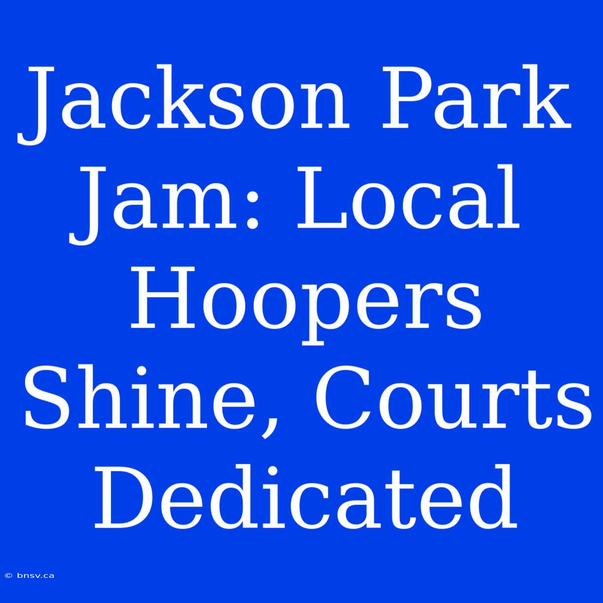 Jackson Park Jam: Local Hoopers Shine, Courts Dedicated