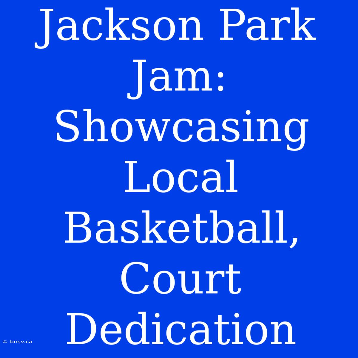 Jackson Park Jam:  Showcasing Local Basketball, Court Dedication