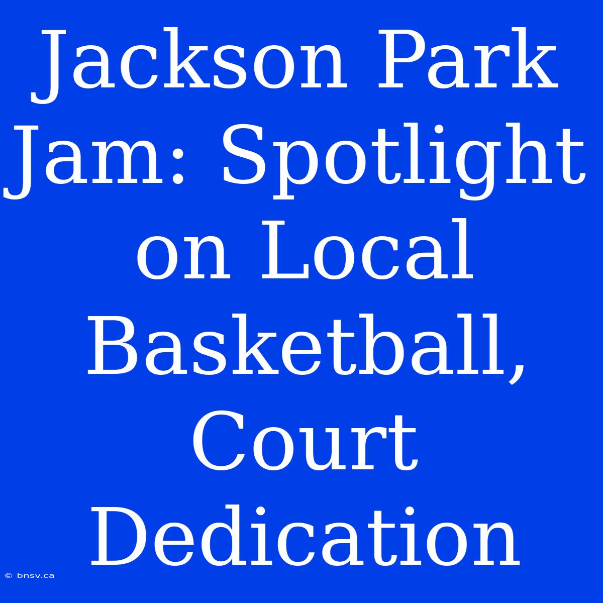 Jackson Park Jam: Spotlight On Local Basketball, Court Dedication