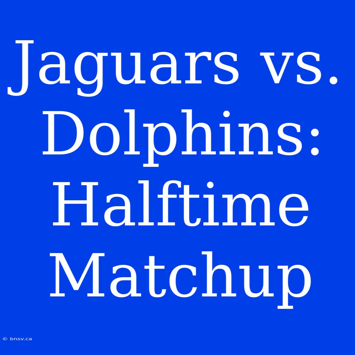 Jaguars Vs. Dolphins:  Halftime Matchup