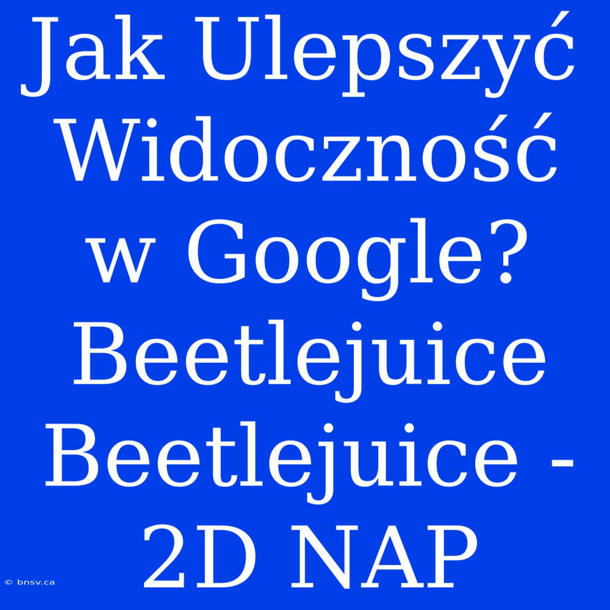 Jak Ulepszyć Widoczność W Google? Beetlejuice Beetlejuice - 2D NAP