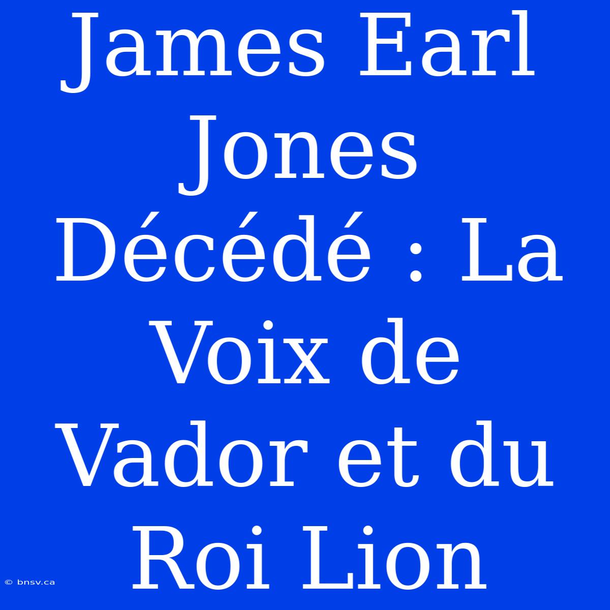 James Earl Jones Décédé : La Voix De Vador Et Du Roi Lion