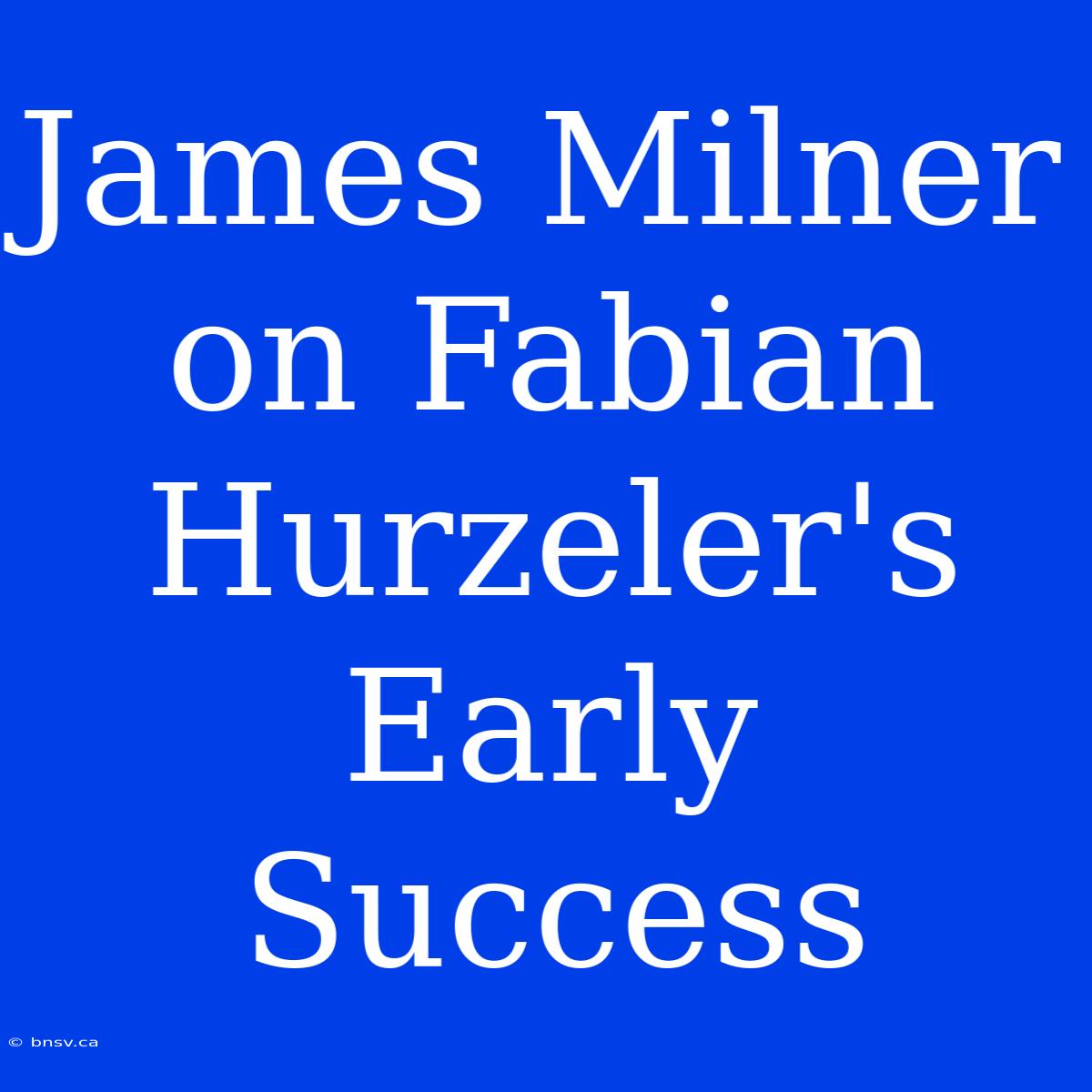 James Milner On Fabian Hurzeler's Early Success