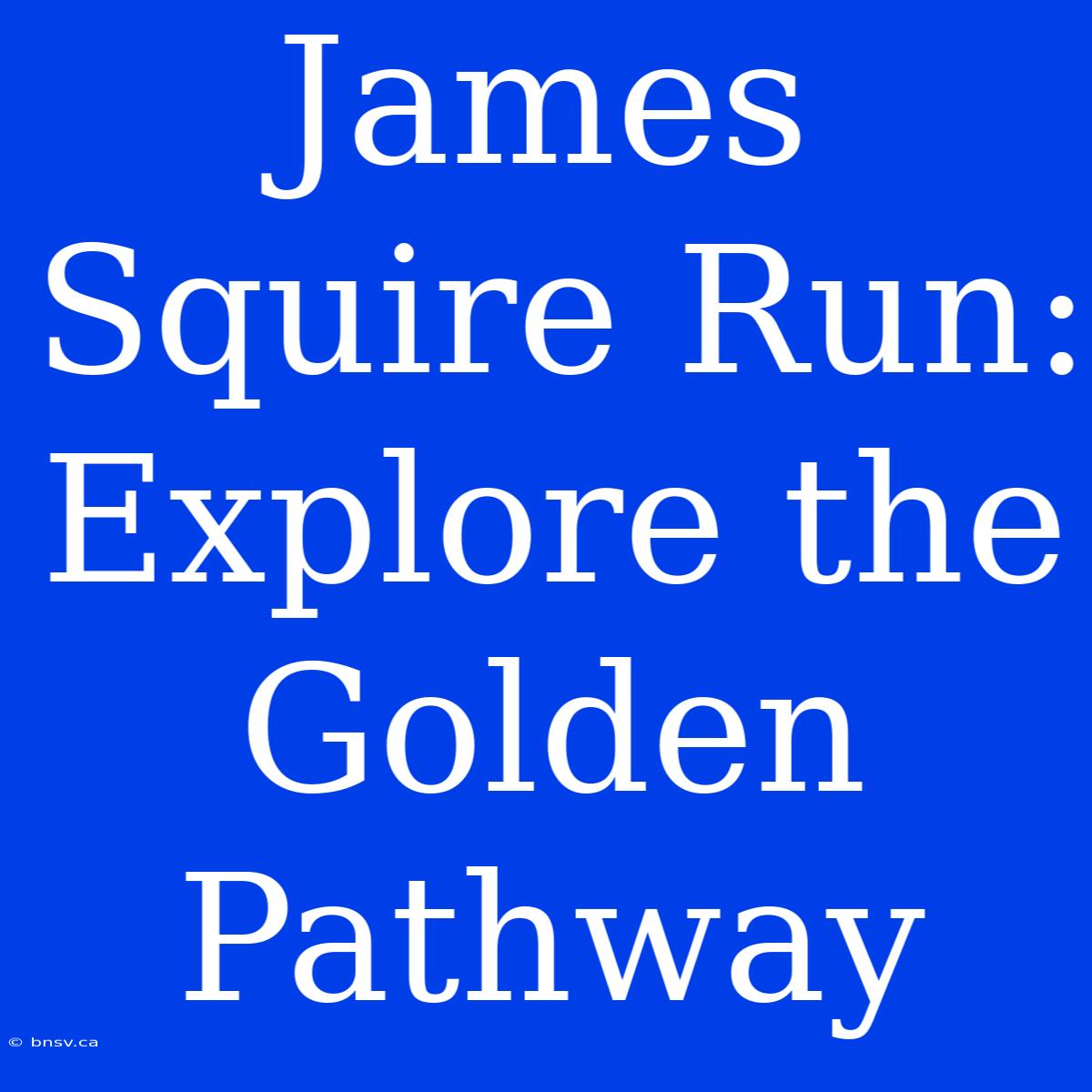 James Squire Run: Explore The Golden Pathway