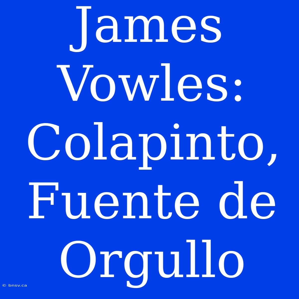 James Vowles: Colapinto, Fuente De Orgullo