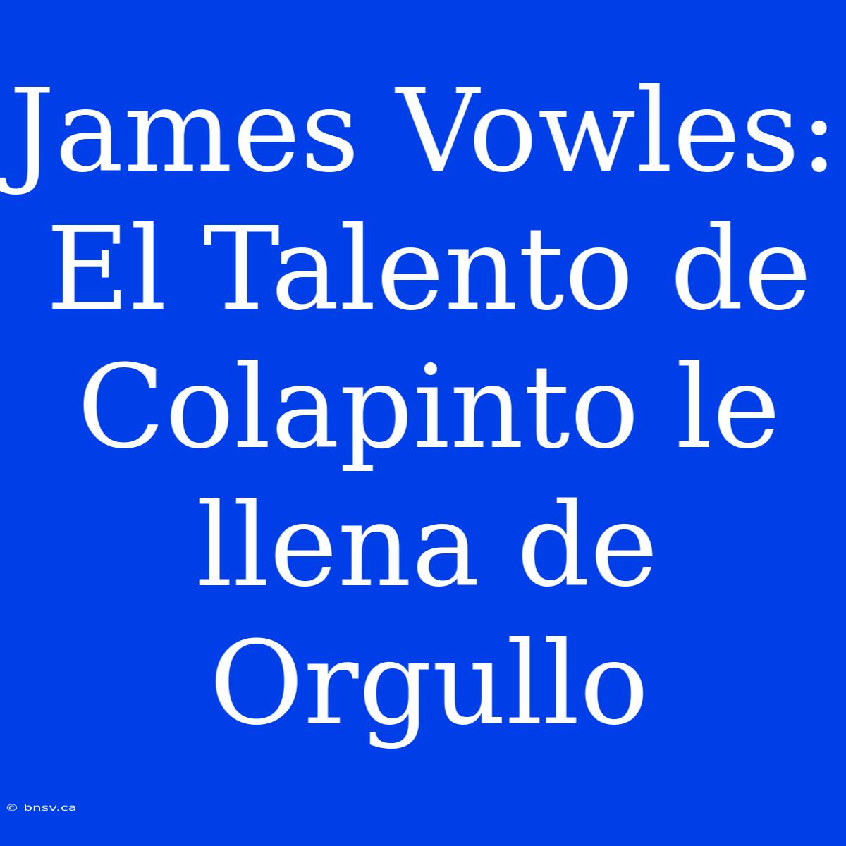 James Vowles: El Talento De Colapinto Le Llena De Orgullo